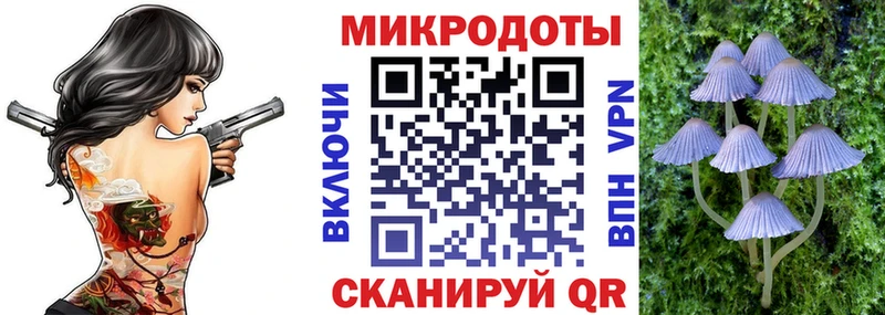 Галлюциногенные грибы GOLDEN TEACHER  Купить  Знаменск 